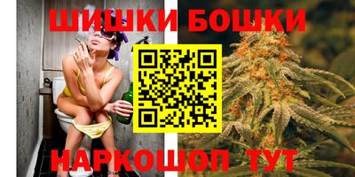 прущие грибы Шахты