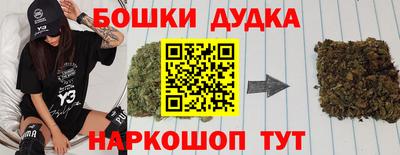 прущие грибы Шахты