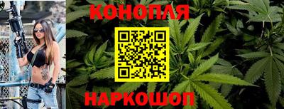 прущие грибы Шахты