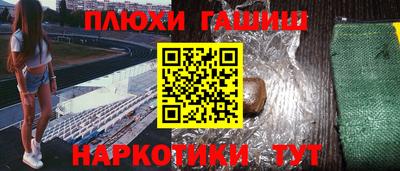 прущие грибы Шахты