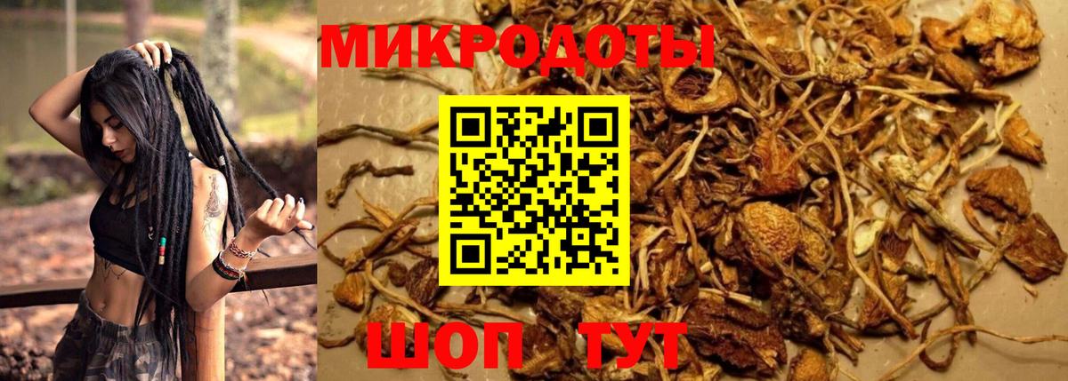 Псилоцибиновые грибы прущие грибы Кунгур